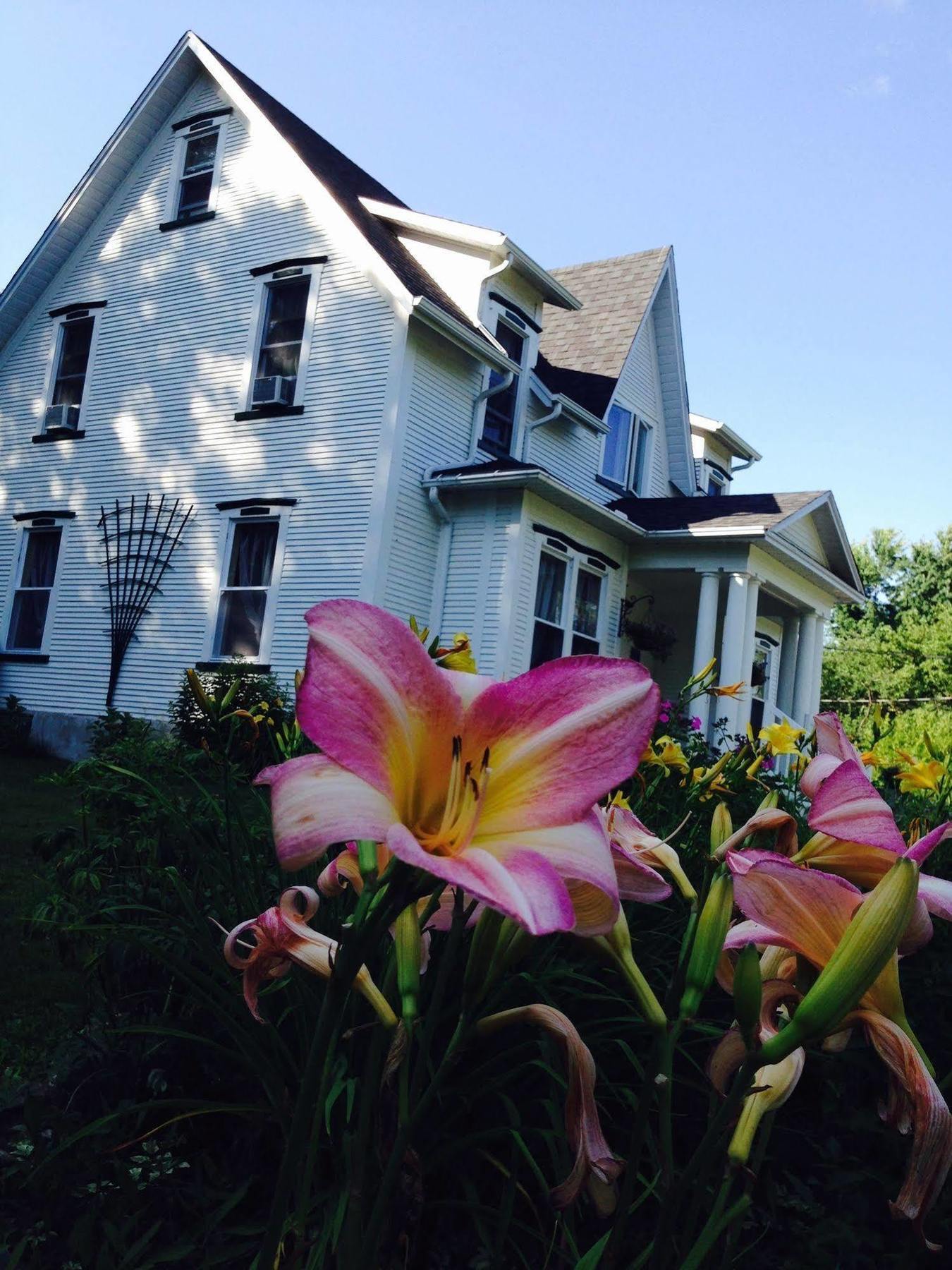 B&B Hillhouse Lac-Brome Exterior foto